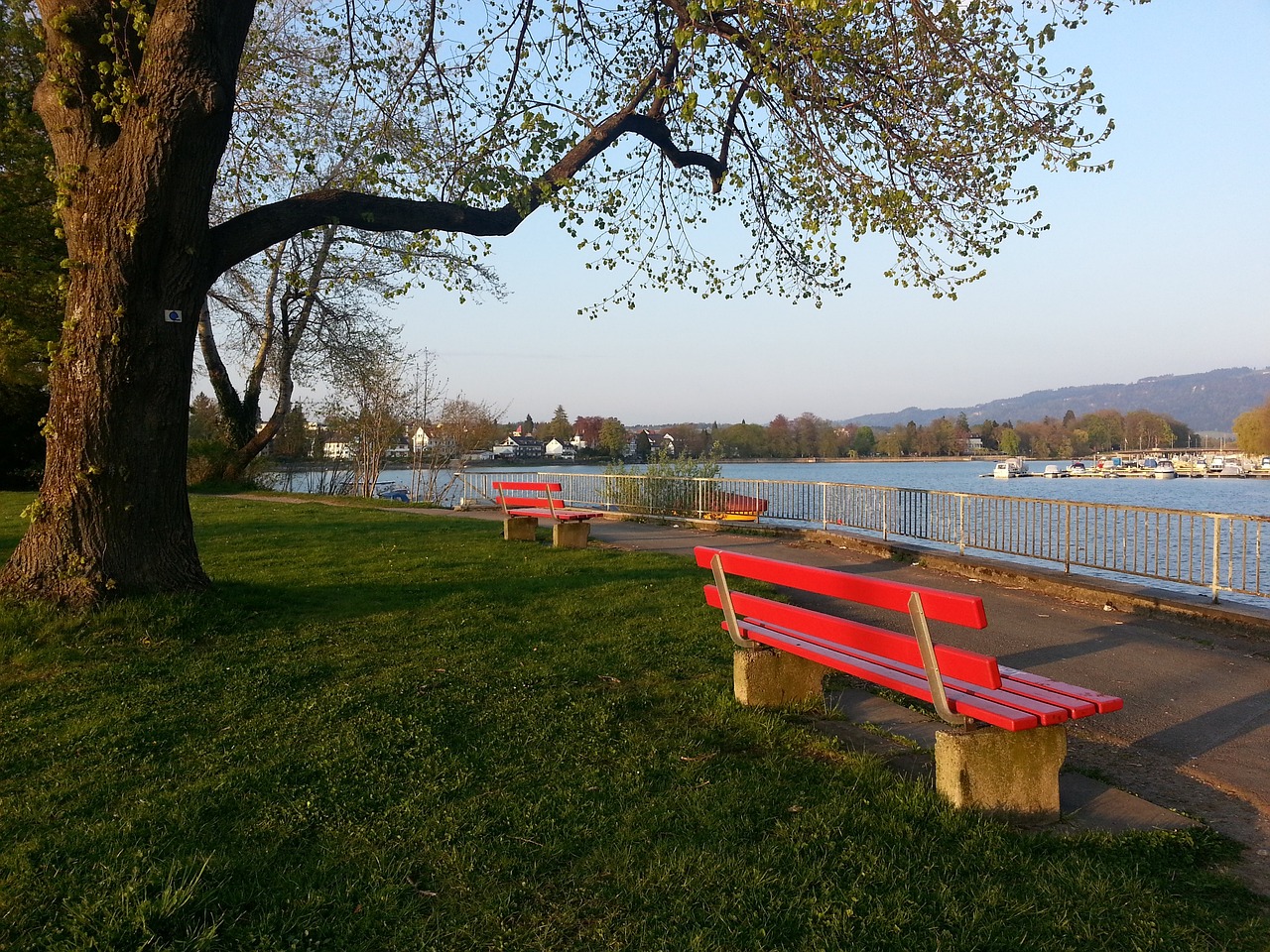 去功绩的肯 去功绩的肯